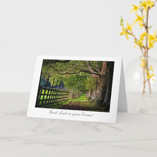 Een wandeling in het park - veel succes met je exa kaart (Gele Bloem)