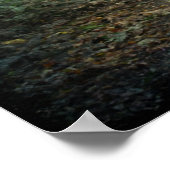 Een wandeling in het Poster van het park (Hoek)