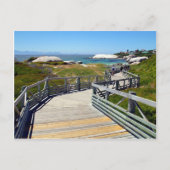 Een wandeling naar Boulders Beach, Zuid-Afrika Briefkaart (Voorkant)