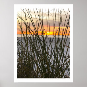 Een wandeling op het strand poster