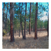 Een wandeling tussen de bomen Glossy Poster (Voorkant)