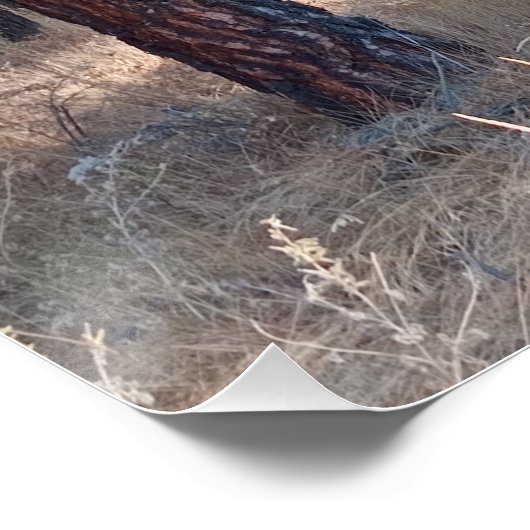 Een wandeling tussen de bomen Glossy Poster (Hoek)