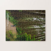 Een wandeling tussen reuzen - Redwood National For Legpuzzel (Horizontaal)