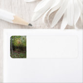 Een wandeling van de Herfst Etiket (Insitu)