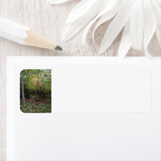 Een wandeling van de Herfst Etiket (Insitu)