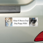 Een wapenstilstand aannemen - Havanse Puppies Bumpersticker (Op auto)