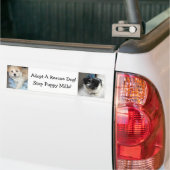 Een wapenstilstand aannemen - Havanse Puppies Bumpersticker (Op Truck)