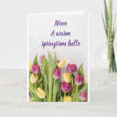 **EEN WARM SPRINGTIME/EASTER HALLO* KAART (Voorkant)