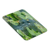 Een warme groet uit Everglands Nat'l Park Magneet (Rechterzijde)