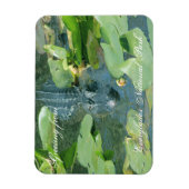 Een warme groet uit Everglands Nat'l Park Magneet (Verticaal)