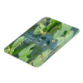 Een warme groet uit Everglands Nat'l Park Magneet (Linkerzijde)