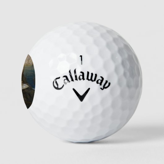 Een water Baby gevonden in Seashell door Bikini Ny Golfballen (Logo)