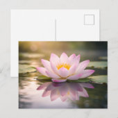Een Waterlelie Briefkaart (Voorkant / Achterkant)