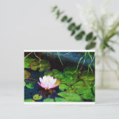 Een waterlelie die in een vijver zweeft briefkaart (Staand voorkant)