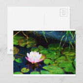 Een waterlelie die in een vijver zweeft briefkaart (Voorkant / Achterkant)