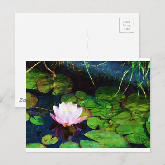 Een waterlelie die in een vijver zweeft briefkaart (Voorkant / Achterkant)