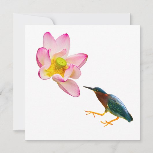 Een waterlotus en een reiger (Voorkant)