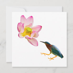Een waterlotus en een reiger