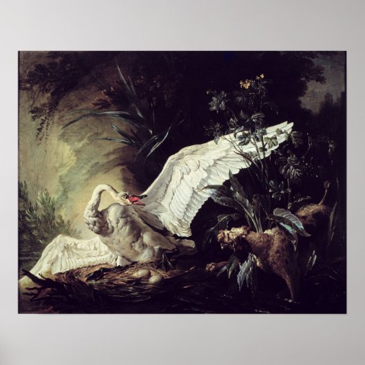 Een waterspaniel poster (Voorkant)