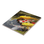 Een waterweg vol Japanse koikarpers Tegeltje (Zijkant)