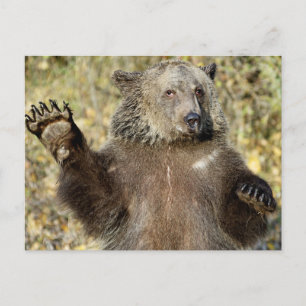 Een Waving Grizzly-Beer Briefkaart