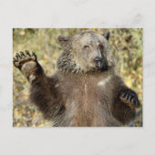 Een Waving Grizzly-Beer Briefkaart (Voorkant)