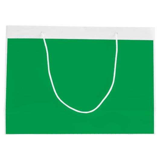 Een weelderige groene varen met delicate, ingewikk groot cadeauzakje (Achterkant)