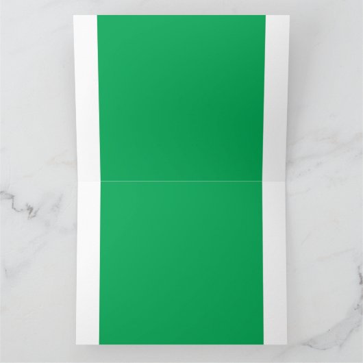 Een weelderige groene varen met delicate, ingewikk kaart (Binnen)