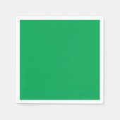 Een weelderige groene varen met delicate, ingewikk servet (Voorkant)