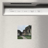 Een weg door de ruïnes magneet (Insitu (Vaatwasser))
