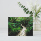 Een weg in het midden van het wilde bos briefkaart (Staand voorkant)