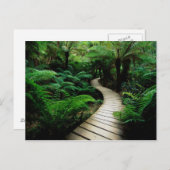 Een weg in het midden van het wilde bos briefkaart (Voorkant / Achterkant)