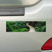 Een weg in het midden van het wilde bos bumpersticker (Op auto)