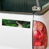 Een weg in het midden van het wilde bos bumpersticker (Op Truck)