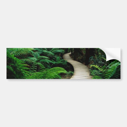 Een weg in het midden van het wilde bos bumpersticker (Voorkant)