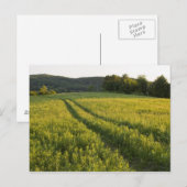 Een weg naar het boerderij in de gemeente Sabins i Briefkaart (Voorkant / Achterkant)