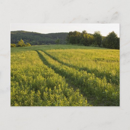 Een weg naar het boerderij in de gemeente Sabins i Briefkaart (Voorkant)