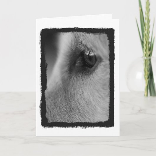 Een wegenkaart met gedachten kaart (Voorkant)