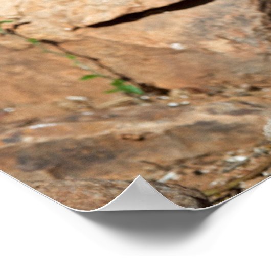 Een wegloper pauzeert tijdelijk op zijn onderzoek poster (Hoek)