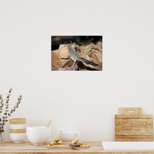 Een wegloper pauzeert tijdelijk op zijn onderzoek poster (Keuken)