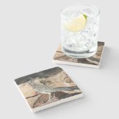 Een wegloper pauzeert tijdelijk op zijn onderzoek stenen onderzetter (Zijkant)