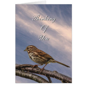 EEN WEINIG Bruine Vogel