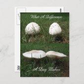 Een welk Verschil een Dag maakt Briefkaart (Voorkant / Achterkant)
