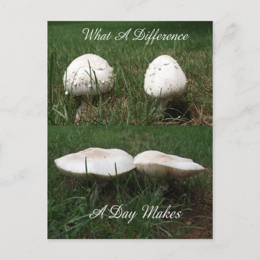 Een welk Verschil een Dag maakt Briefkaart (Voorkant)