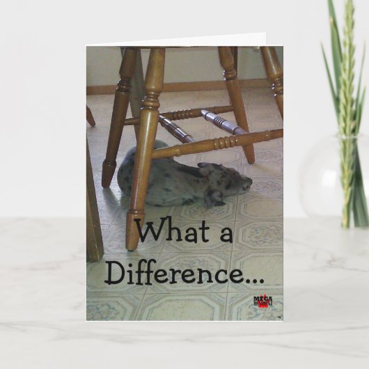 Een welk Verschil een Jaar!!! maakt! Kaart (Voorkant)