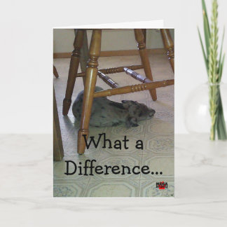 Een welk Verschil een Jaar!!! maakt! Kaart