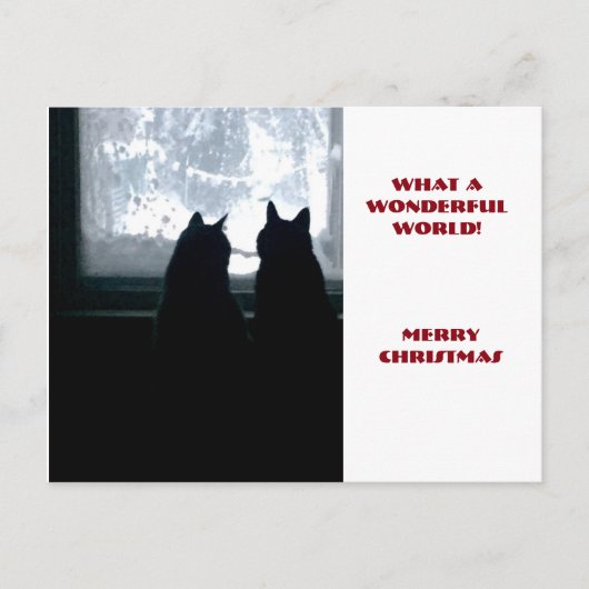 Een welke prachtige wereld! feestdagenkaart (Voorkant)