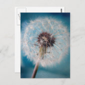 Een wens maken briefkaart (Voorkant / Achterkant)