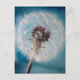 Een wens maken briefkaart