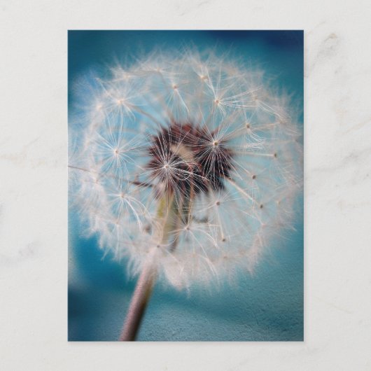 Een wens maken briefkaart (Voorkant)